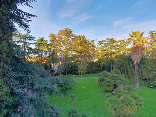 VIA MASSIMO MELICONI - MQ 270 + 60 - € 3.400
