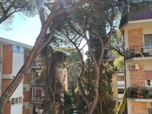 VIA FRANCESCO SAVERIO BENUCCI – MQ 163 + 25 + 7 – € 590.000